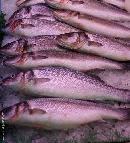 peces a la venta en una pescadería