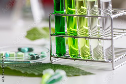 Fotografía Science Research leaves of Mitragyna speciosa (kratom) and Chemical analysis  in Lab