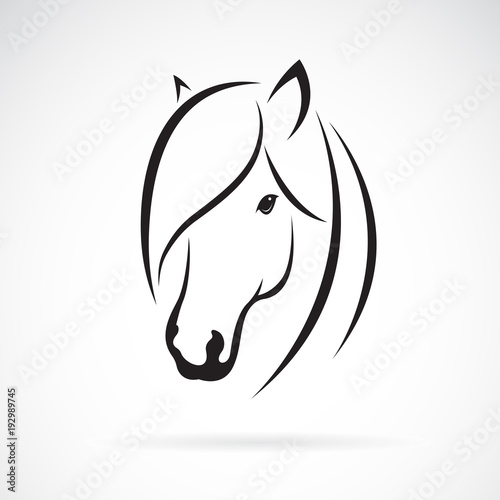 Vector of horse head design on white background. Animal. Horse symbol. Easy editable layered vector illustration.