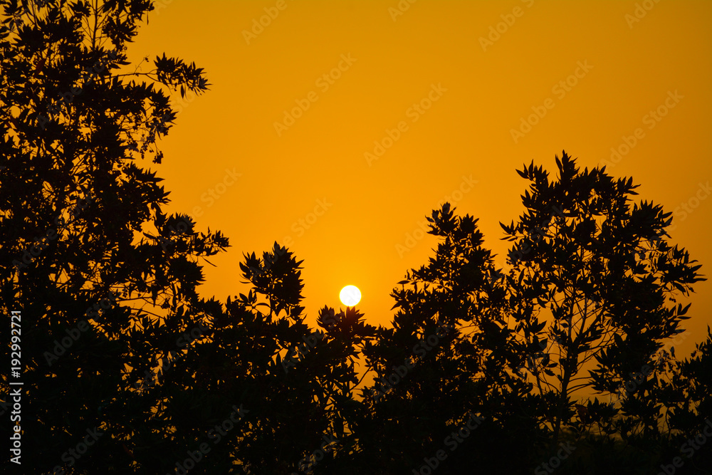 Obraz premium Sunrises and silhouette