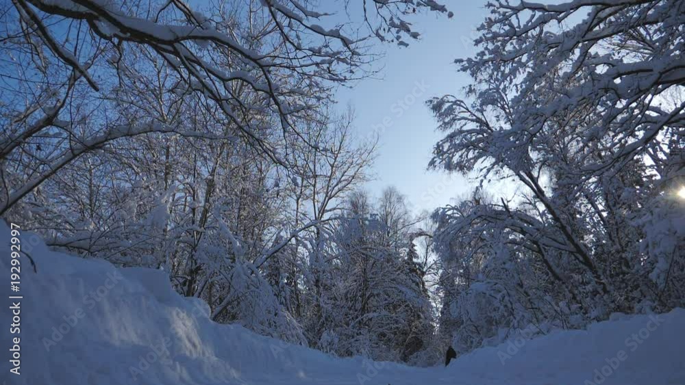 Winter in forest, woman wearing black cloak riding Beautiful horse, running through snow in slow motion Winter in forest, woman wearing black cloak riding Beautiful horse, running through snow in slow motion