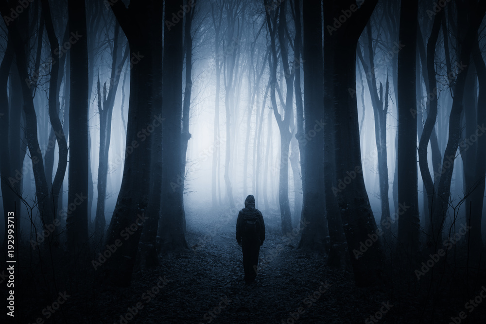 Fototapeta premium tajemnicza postać w ciemnym lesie fantasy nocą