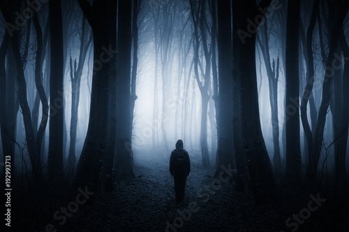 mysterious figure in dark fantasy forest at night