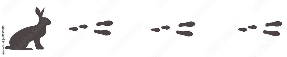 Fototapeta premium Hasenspur