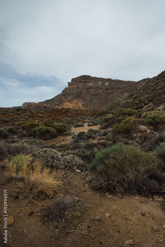 Landscape of volcanic mountains covered with dried flowers and succulents. Blue cloudy sky. High mountain in the background. A vertical image.