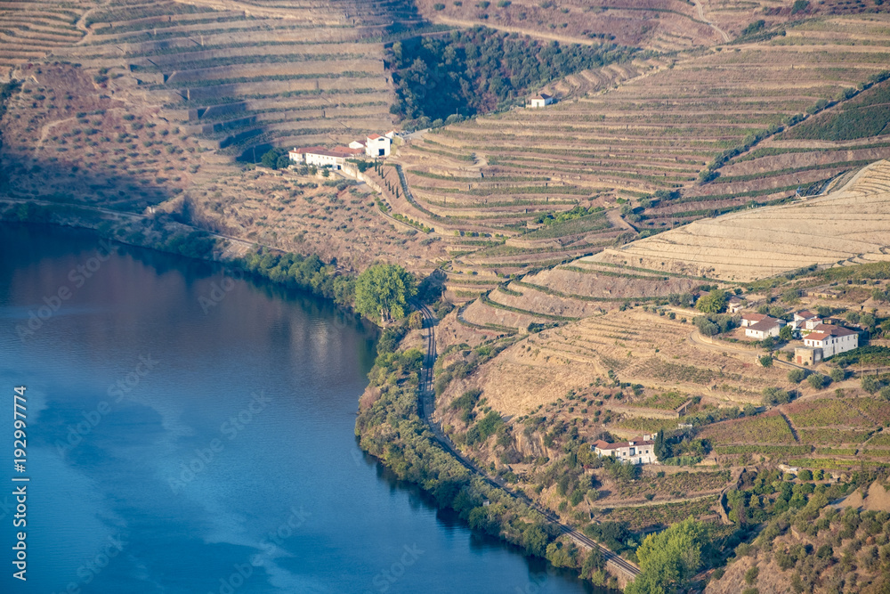 vineyards and the Douro River, Alto Douro Wine Valley
