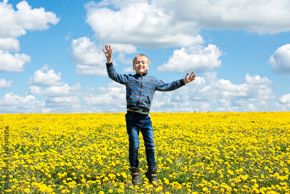 Child in the field with dandelions Child in the field with dandelions