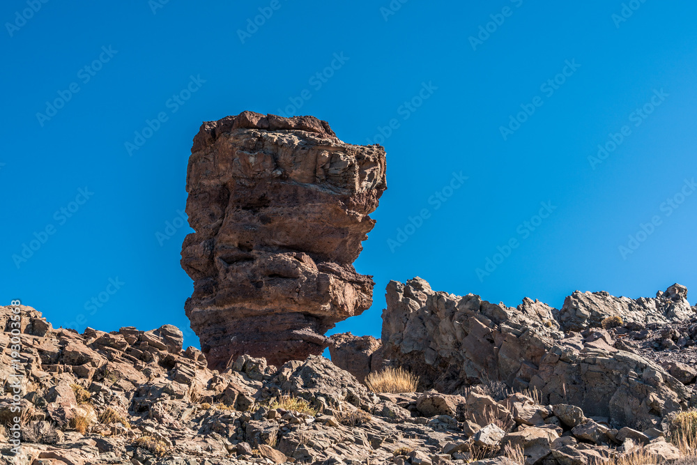 Fingerfelsen aus Lava-Gestein vom Vulkan Teide auf Teneriffa
