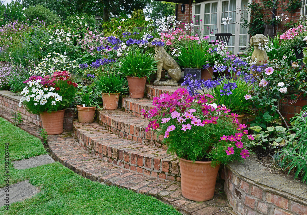 A country house terrace with colourful planting of cosmos and mixed planting A country house terrace with colourful planting of cosmos and mixed planting