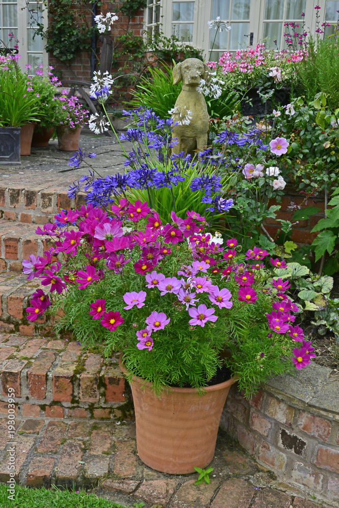 A country house terrace with colourful planting of cosmos and mixed planting