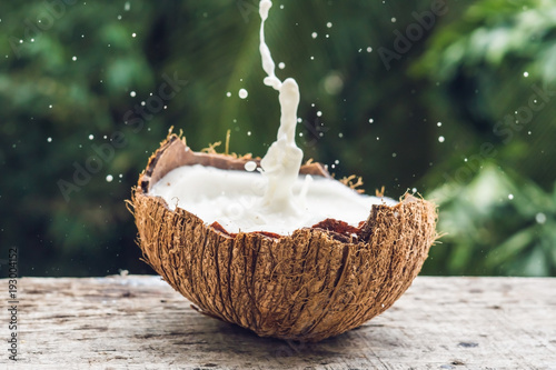 Coconut fruit and milk splash inside it on a background of a palm tree photo