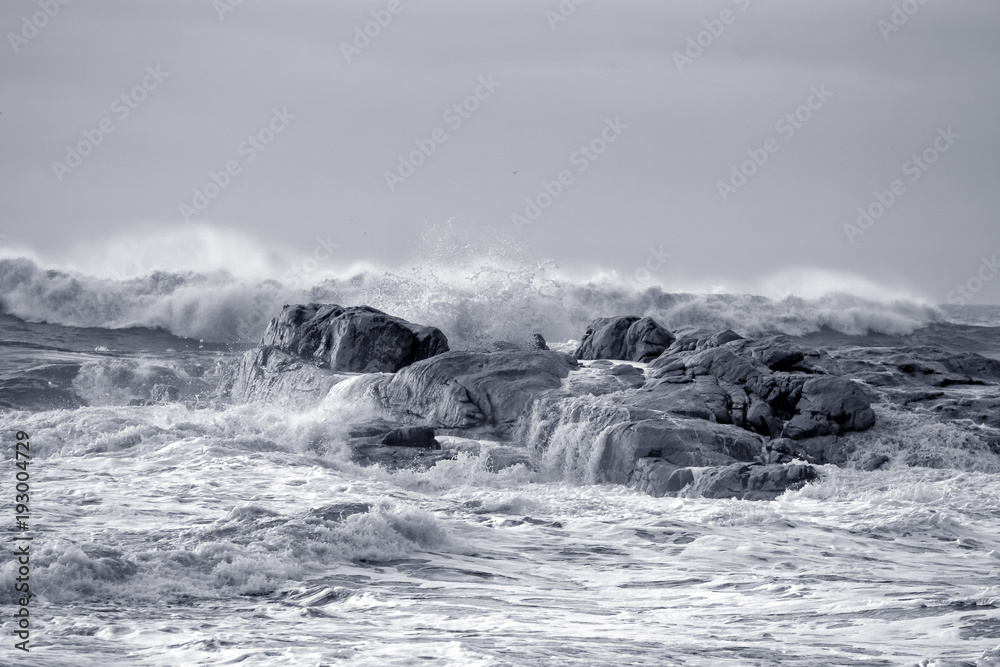 Rough sea on the rocky coast