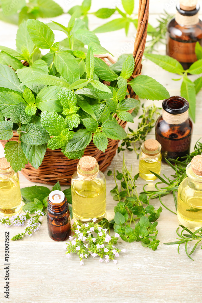 fresh herbs and massage oil on the wooden table fresh herbs and massage oil on the wooden table