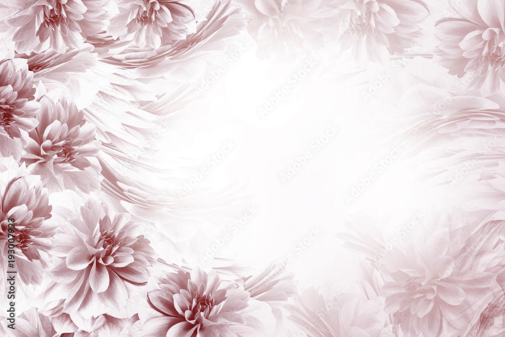 Floral brown-white beautiful background. Composition of flowers blue-white dahlias. Postcard for the holiday. Nature. Nature. Floral brown-white beautiful background. Composition of flowers blue-white dahlias. Postcard for the holiday. Nature. Nature.