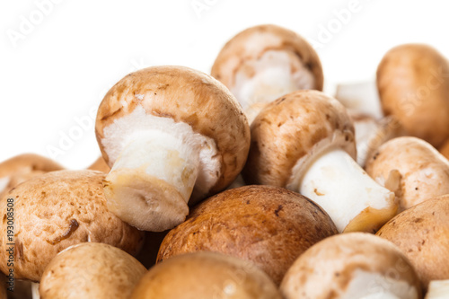 raw mushrooms champignons