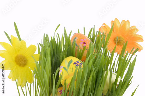 easter eggs and flowers on the grass on white background 