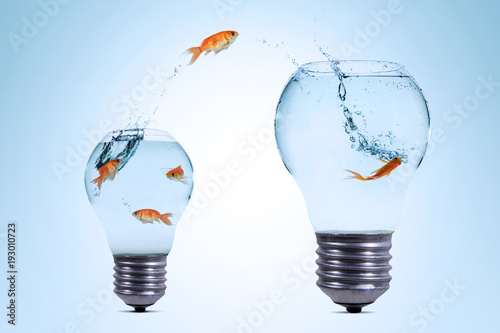 Gold fish jumping out from the smaller light bulb shaped aquarium to a bigger one