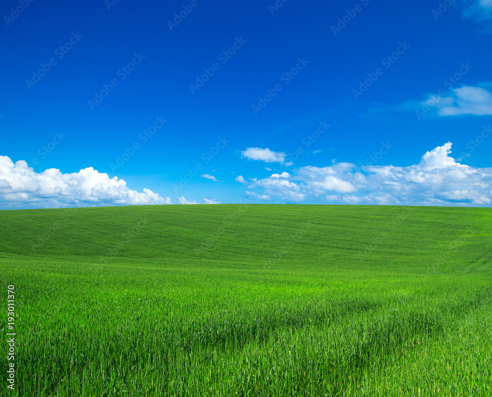 green field with blue heaven