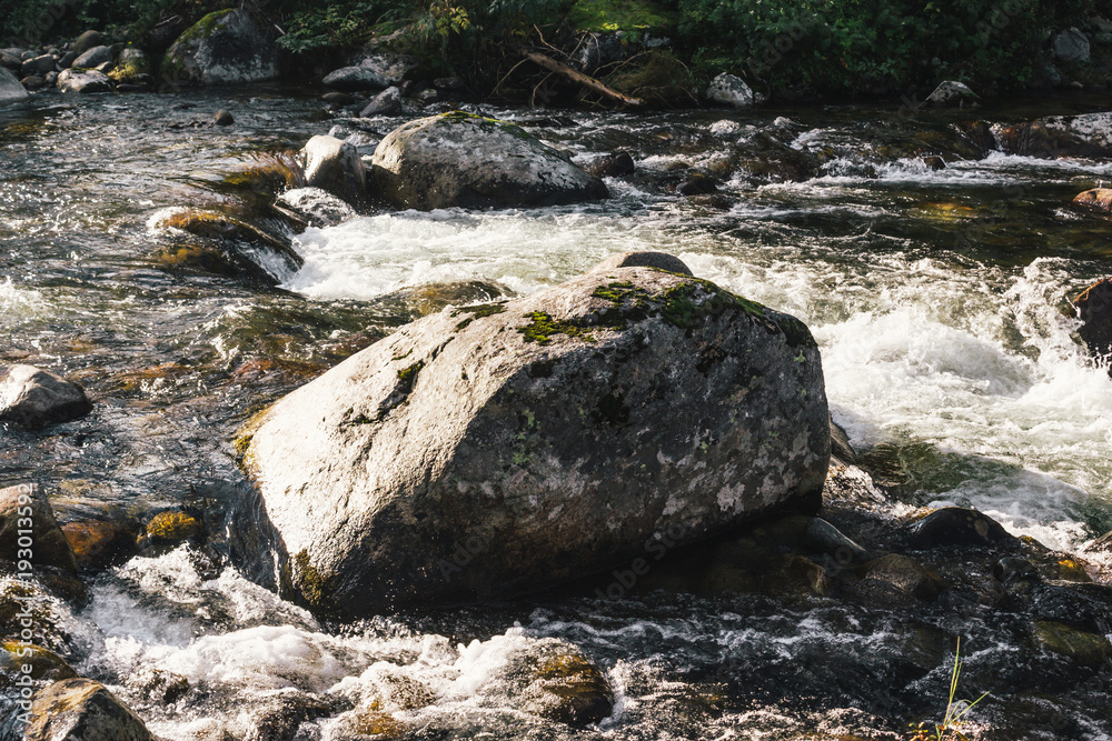 Fast mountain river in rapid flow in the green forest Fast mountain river in rapid flow in the green forest