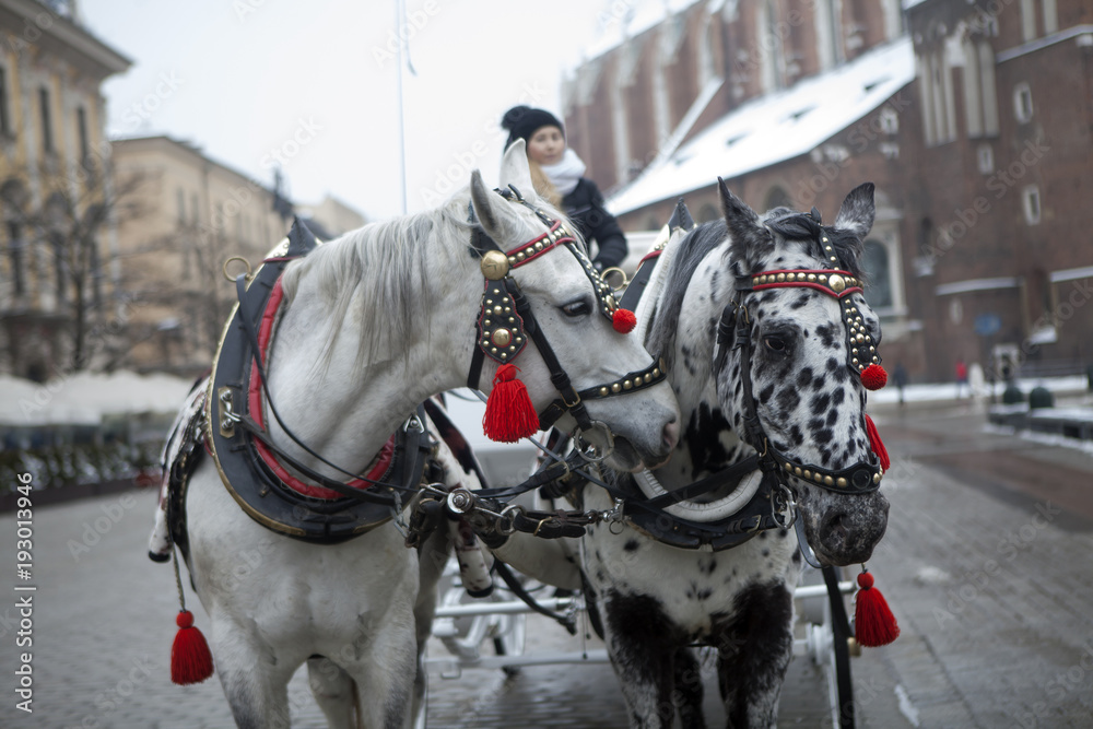 Horse-Drawn Carriage Parked In The Main Market Square; Horse-Drawn Carriage Parked In The Main Market Square;