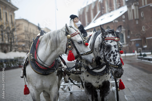 Horse-Drawn Carriage Parked In The Main Market Square  © elenarostunova