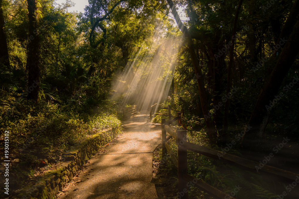 Obraz premium crystal river park trail in the morning