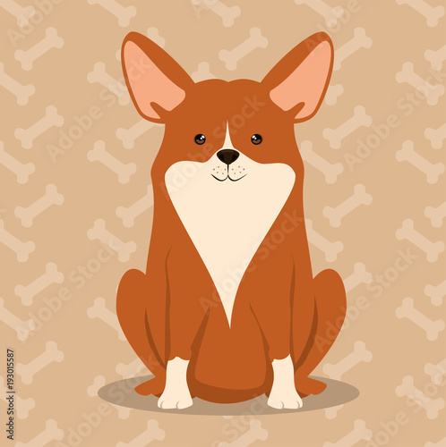 dog bred pet friendly vector illustration design