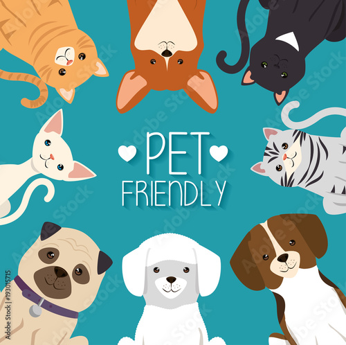 dogs and cats pets friendly vector illustration design photo