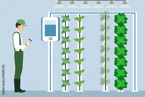 Vertical greenhouse gardens. Growing micro greens.  Smart farm with wireless control. Vector illustration.