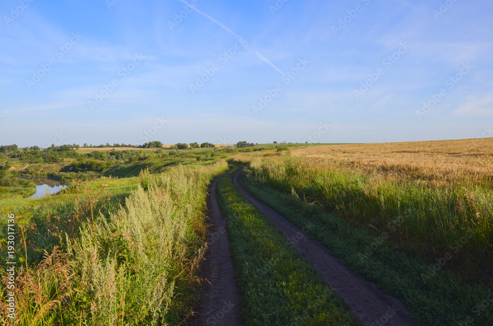 Sunny summer landscape with ground countryside road passing through fields on a background of blue sky.Warm sunlight at sunset. 
