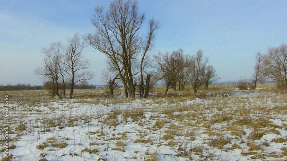custom made wallpaper toronto digitalField with grass frozen and snow away Russia outdoors dead trees the winter landscape steadicam