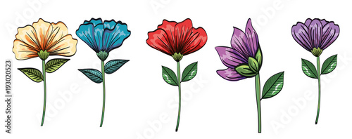 set floral decoration vintage style vector illustration design