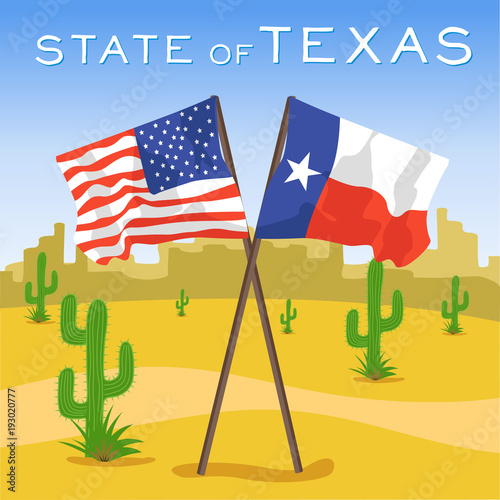American and Texas flags in desert
