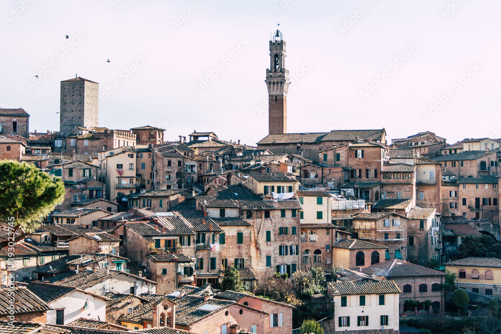 The most beautiful city Siena - Italu 