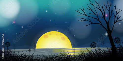 Night scene with moon and lake