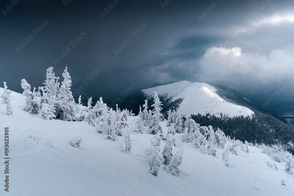 Fantastic winter landscape with snowy trees. Drammatic sky and icy mountain peak. Carpathian mountains, Ukraine, Europe. Christmas holiday concept