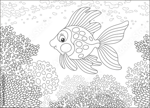 Tropical gold fish swimming over corals, a black and white vector illustration in cartoon style for a coloring book