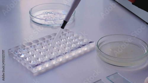 the woman drips substance from a Petri dish in the laboratory tablet for the analysis