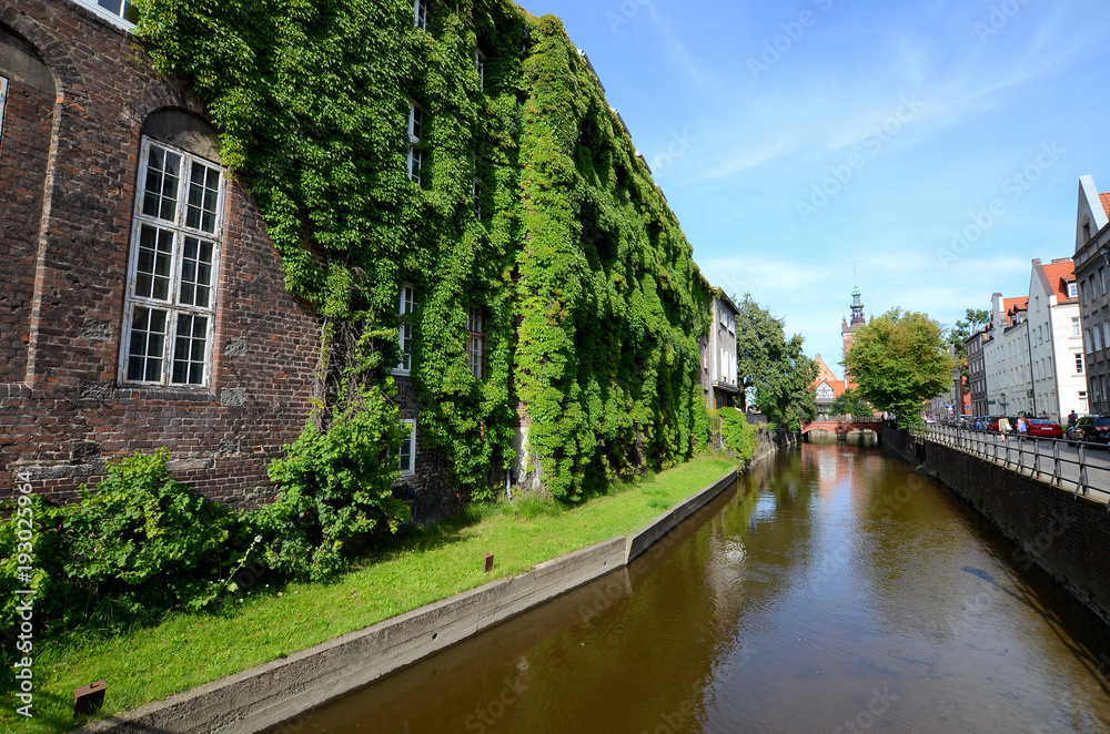 Old house with ivy over the canal (Gdańsk in Poland)