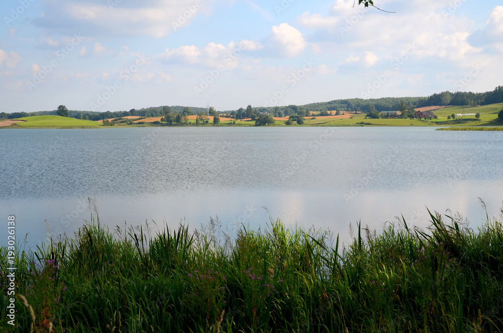 A view of the lake in the summer (Poland)