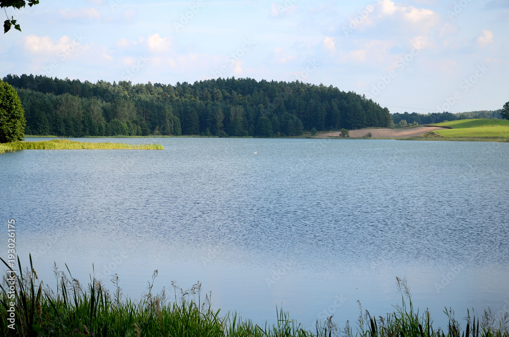 A view of the lake in the summer (Poland)