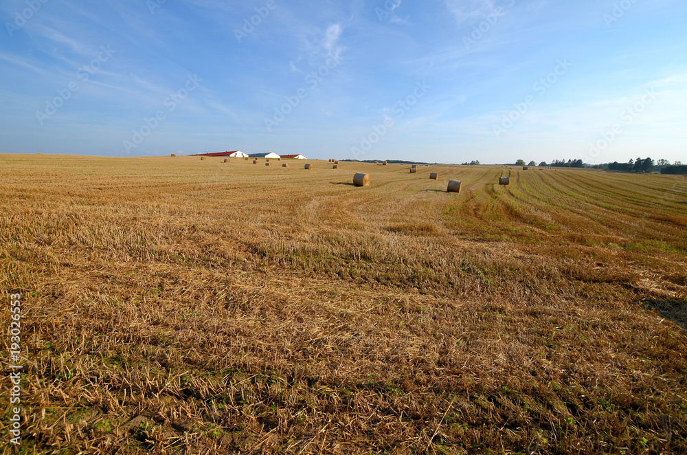 A field with straw bales