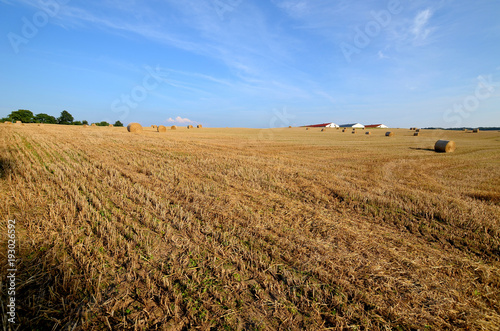 Obraz na płótnie A field with straw bales w salonie