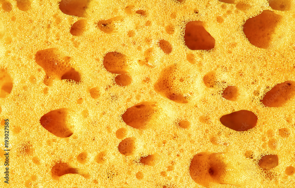 Sponge, porous material. Texture background Sponge, porous material. Texture background