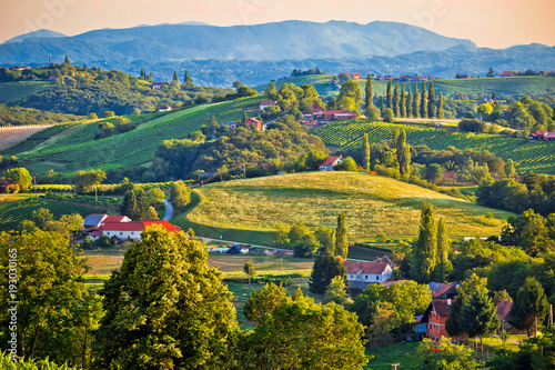 Fototapeta Naklejka Na Ścianę i Meble -  Green landscape of Medjimurje region view from hill
