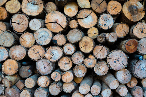 The firewood is stacked. Keep it as a fuel in winter.