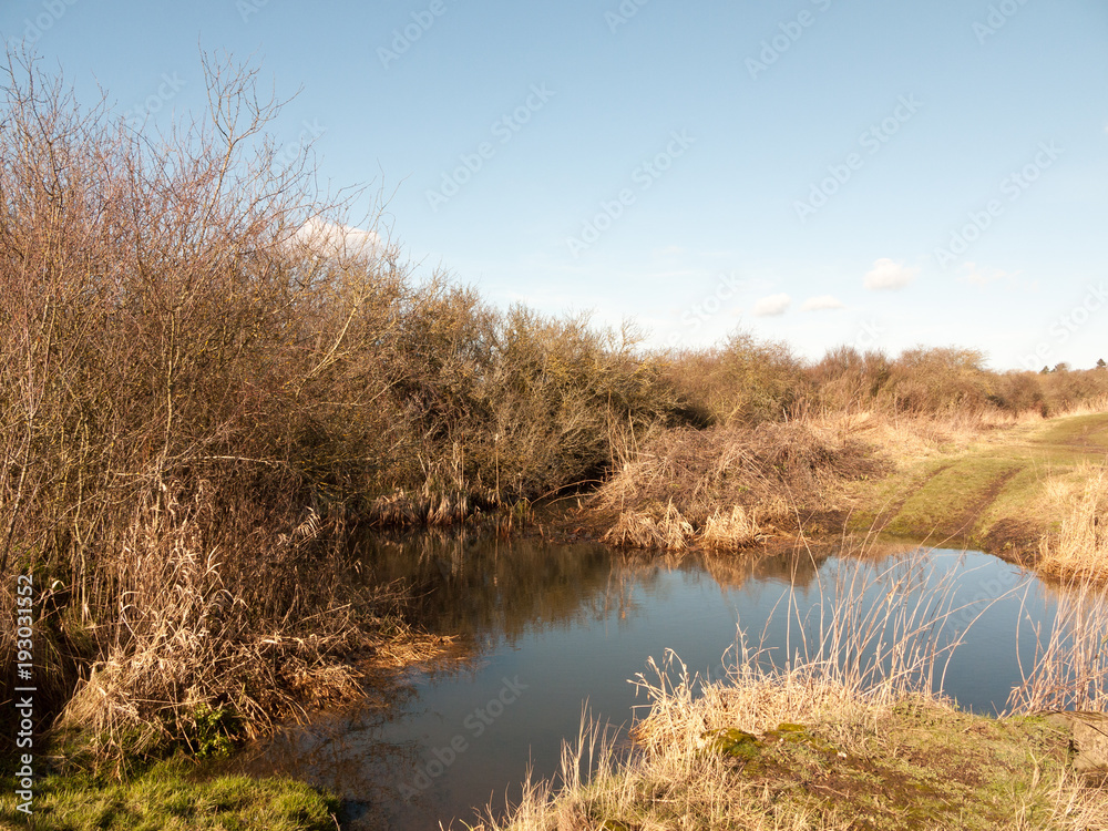 open small lagoon pool of water in countryside spring nature landscape open small lagoon pool of water in countryside spring nature landscape