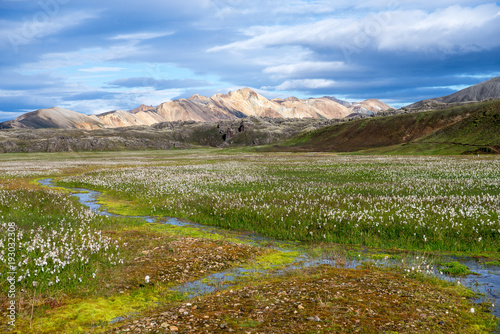 Volcanic mountains of Landmannalaugar in Fjallabak Nature Reserve. Iceland