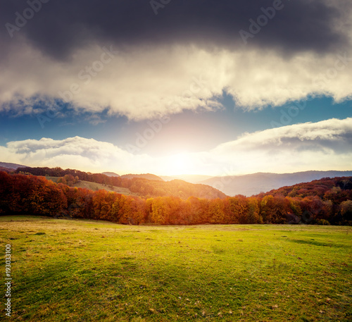 Fantastic view of the magic field glowing by sunlight. Location place Carpathian, Ukraine, Europe. Beauty world.