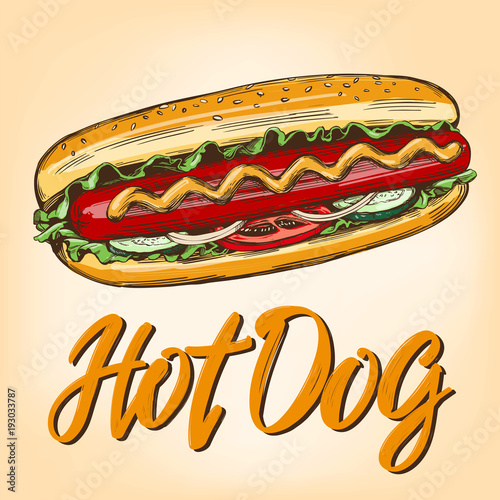 hot dog fast food,hand drawn vector illustration color realistic sketch, retro style